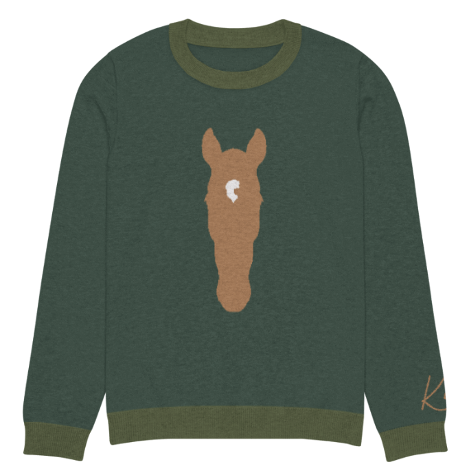 Custom Silhouette Knitted Crew Neck Sweater Kids Youth Adults