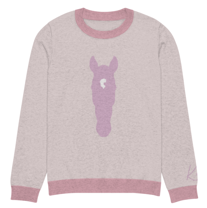 Custom Silhouette Knitted Crew Neck Sweater Kids Youth Adults