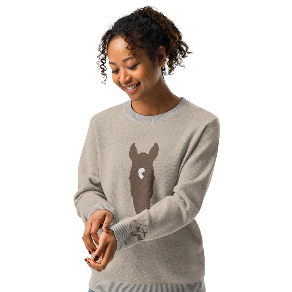 Custom Silhouette Knitted Crew Neck Sweater Kids Youth Adults