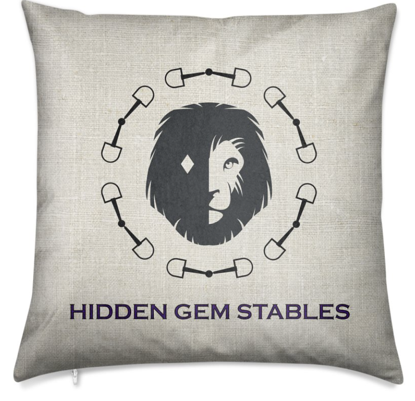 Set of Two Custom Barn Pillows