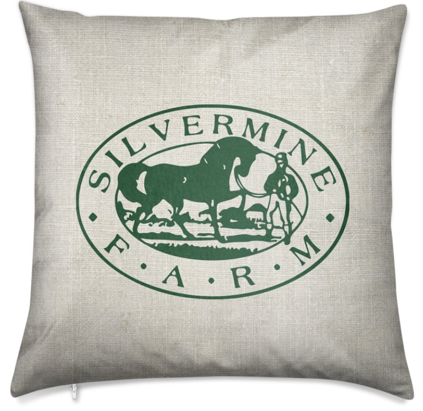 Set of Two Custom Barn Pillows