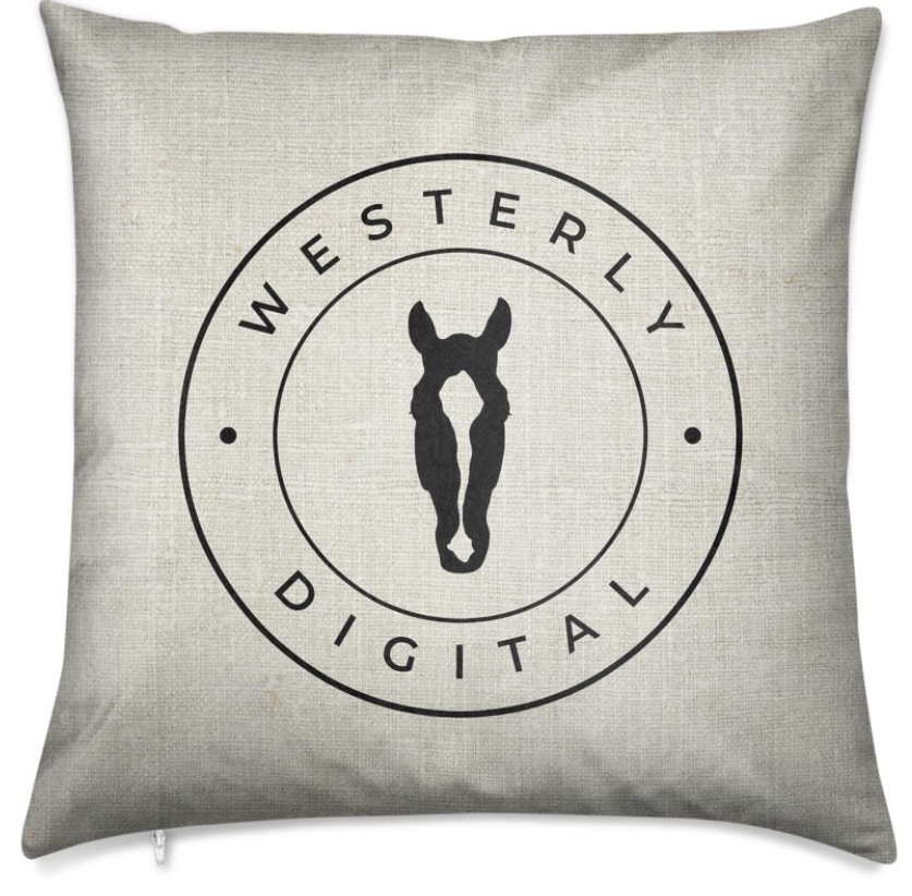 Set of Two Custom Barn Pillows