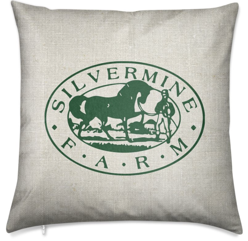 Custom Barn Pillow
