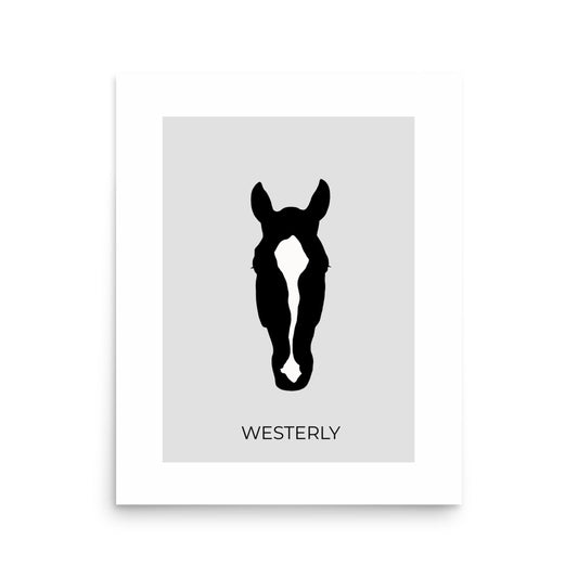 Custom Matte Poster Print